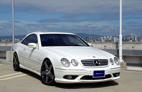 広い レビュアー 上向き レイサー 金融 車 Domarket Jp